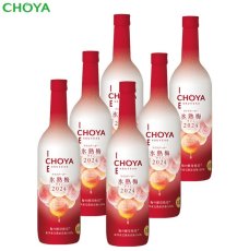 画像1: CHOYA ICE NOUVEAU 氷熟梅ワイン2024  720ml×6本【数量限定】【送料無料】 (1)