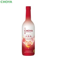 画像2: CHOYA ICE NOUVEAU 氷熟梅ワイン2024  720ml×6本【数量限定】【送料無料】 (2)