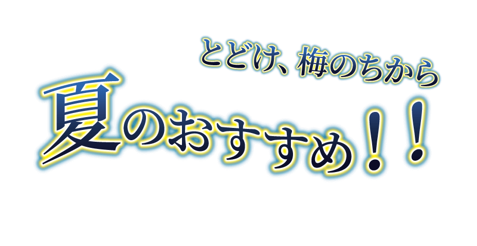 夏のおすすめ